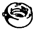 06000009